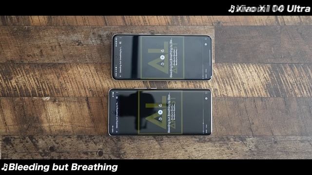 意外と大きな差。Xiaomi 14 Ultra とvivo X100 Ultra 比較レビュー。どちらがカメラスマホとして最強なのか смотреть онлайн