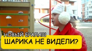 ШАРИКА НЕ ВИДЕЛИ - Новый Ералаш