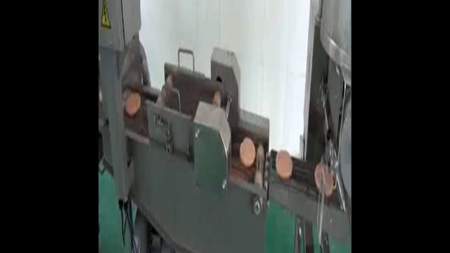 ПАНИРОВОЧНАЯ МАШИНА SXJ200 смотреть онлайн