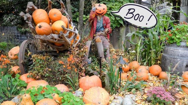 TV Art | Halloween Rustic | Frame TV Screensaver | Smart TV Background Art | 2 Hours | 4K UHD смотреть онлайн