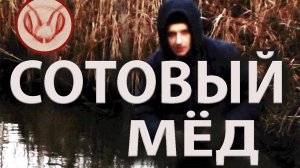 Добыча сотового мёда картонными колодами. Видео 32 сезона 2024