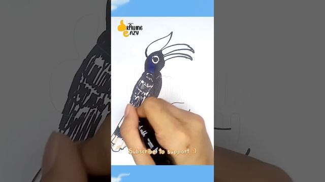 How to Draw a Hornbill | Easy Drawing Tutorial for Kids | Drawing Eazy | Short смотреть онлайн