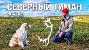 35 дней за Полярным кругом | Переносим 90 кг. груза на реку Белая