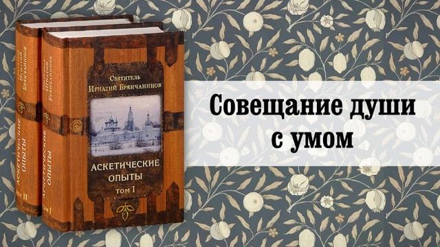 6. Совещание души с умом. Святитель Игнатий (Брянчанинов) смотреть онлайн