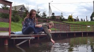 ВЛОГ Кормим рыбок с рук 9.09.2017