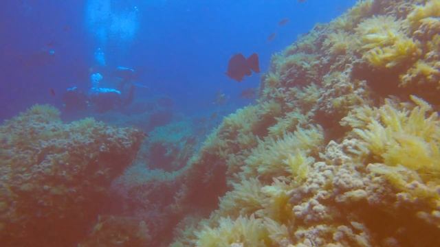 SCUBA Diving in MALLORCA,Spain смотреть онлайн