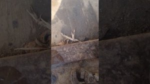 vw touareg tdi 2.5 bpe  замена насоса гур