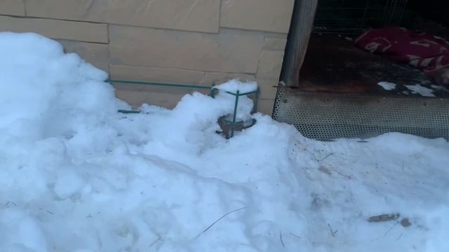 Выдра Степка смотреть онлайн