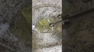 Рецепт Муфтової пастили(Муфтики)#муфтики#пастила