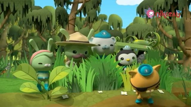 SeE09 Октонавти та Великі болотні пошуки