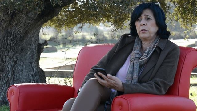 Campaña Contra La Violencia De Género Zalamea De La Serena