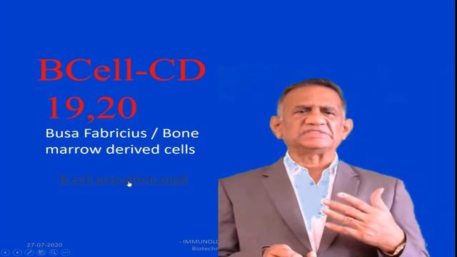 2 Immune cells смотреть онлайн