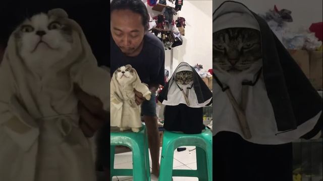 Когда тебе не очень хочется играть роль, но корм уже оплачен смотреть онлайн