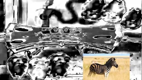 SPONGEBOB SQUAREPANTS VHS AND DVD TRAILOR IN ZEBRACHORDED