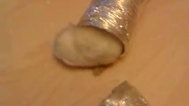 Штрудель в шланге смотреть онлайн