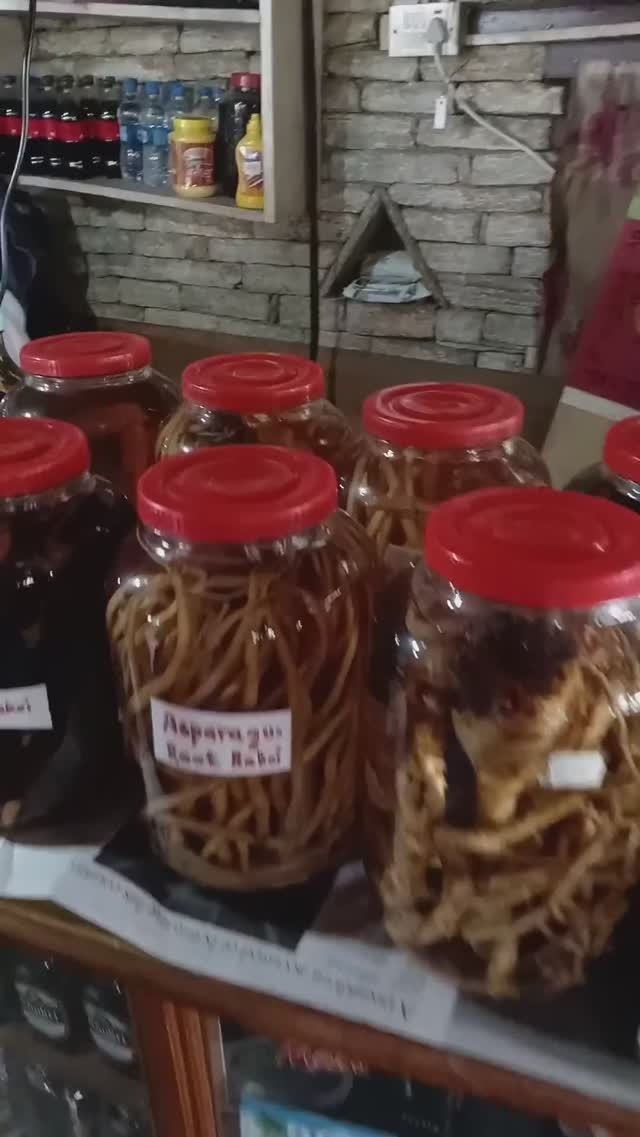 Настойки на травах и корнях на треке в непальских горах #непал #путешествия #travel смотреть онлайн