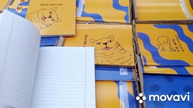 Распродажа школьных тетрадей смотреть онлайн