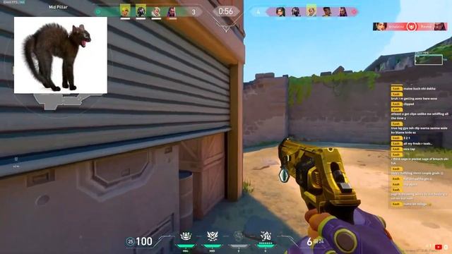 Below Average Gekko Main in Valorant смотреть онлайн