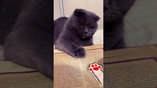 21 березня 2024 р.