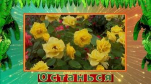 🥰💖💖💖«ОСТАНЬСЯ!»,  Романс, 💚💙💖«Stay!» исп. Л.Скат