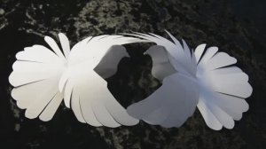 DIY Красивый голубь из бумаги. Мастер класс \ Pigeon Paper