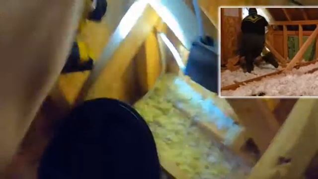Verminator Wildlife Rescue 🐾 Kevin Rescues an Opossum Stuck in an Attic смотреть онлайн