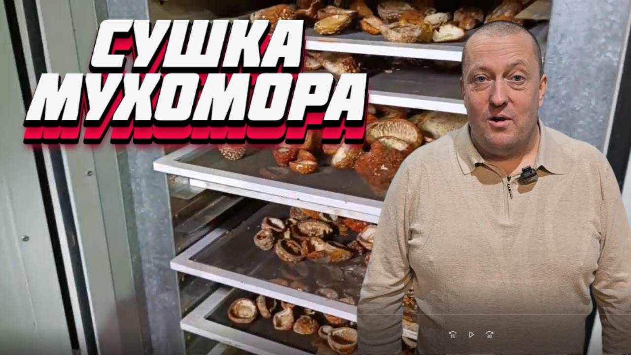 МУХОМОР И БИЗНЕС НА СУШКЕ ГРИБА МУХОМОР смотреть онлайн