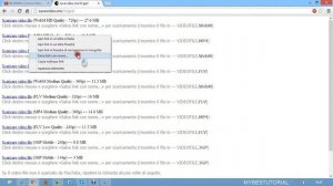 SAVEVIDEO.ME | Salvare video senza alcun software o plug-in