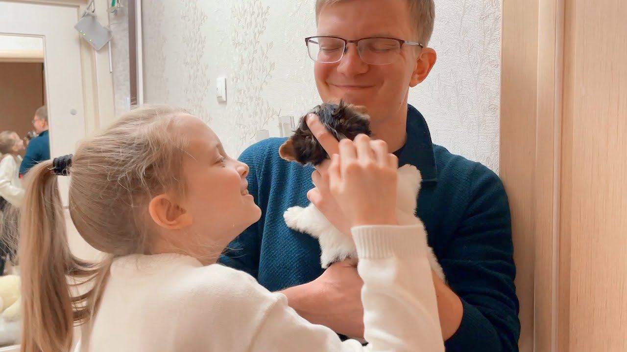 VLOG Готовлю "натуралку" щенку / Прошла аллергия! 15-17.12.21 смотреть онлайн