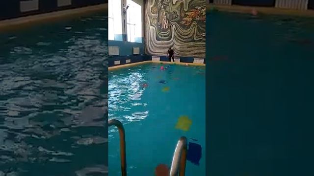 Как мы плаваем смотреть онлайн