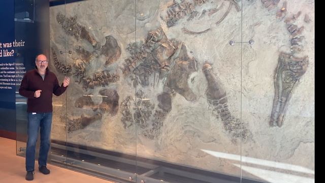 #MindBlownLA Dr. Luis Chiappe and Plesiosaur смотреть онлайн