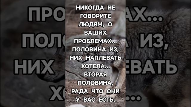 https://youtube.com/@yyuh-j9y?si=BdqrI1tqQKXZ8N67 смотреть онлайн