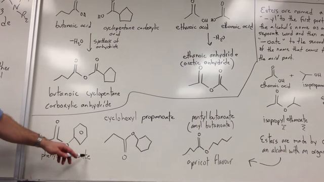 Nomenclature: Anhydrides, Esters and Nitriles смотреть онлайн