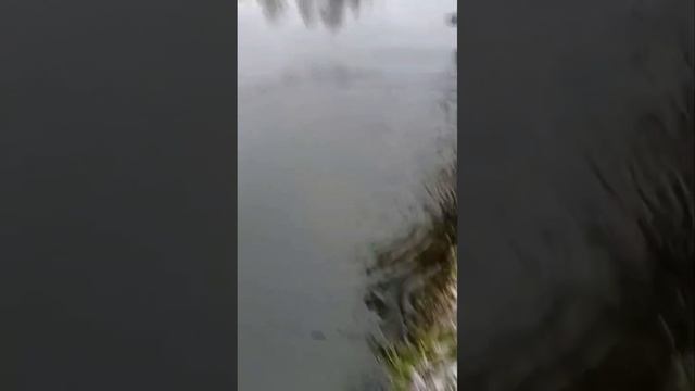 запуск смотреть онлайн