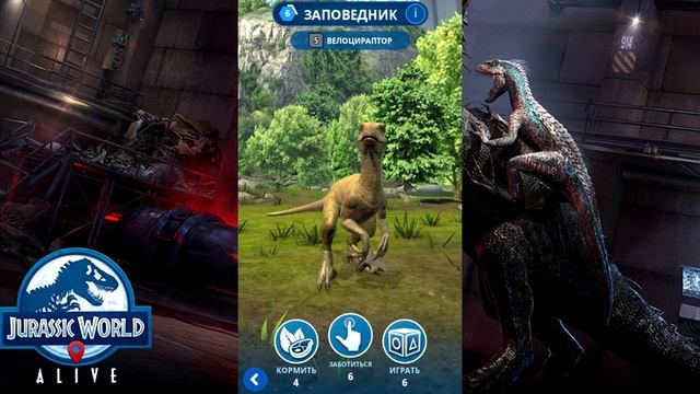 Jurassic World: Alive - Велоцираптор (Velociraptor)