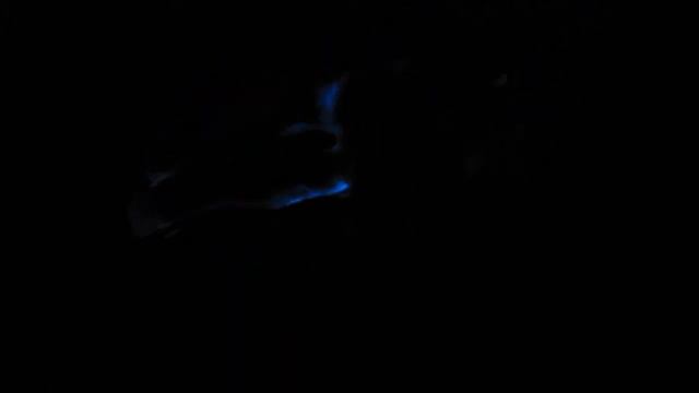 Glowing Hand (Luminescence Of Luminol) - 1