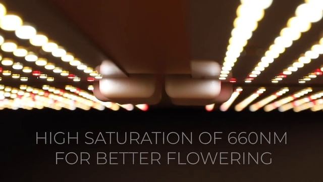 400w Samsung LM301B LED Grow Light Latest Model - Herbal House смотреть онлайн