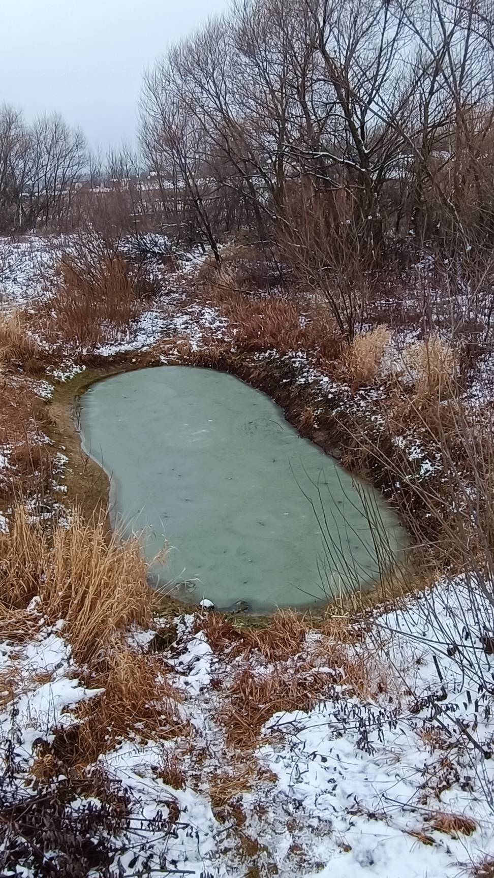 Пруд на даче зимой! Всё замёрзло!