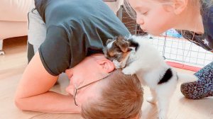 VLOG Щенок привыкает / Разрядная книжка у нас! / Про Батуты 8-10.12.21