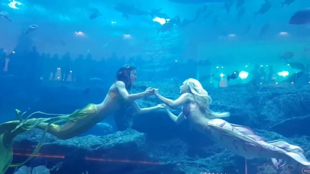 Mermaid Show смотреть онлайн