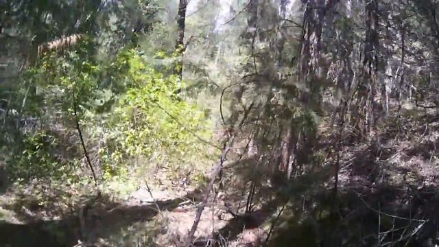HF Radio NVIS Field Operation Trials. First Strike смотреть онлайн