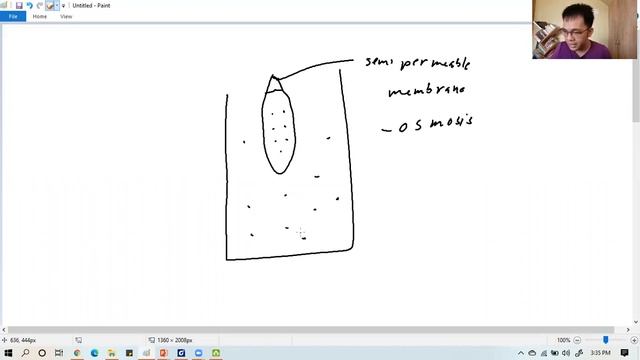Discussion: Colloids-Virtual Laboratory Activity смотреть онлайн