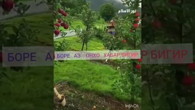 БЕХТАРИН СУХАН....БАРОИ ДУСТОН смотреть онлайн