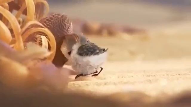 Жизненная короткометражка от Pixar смотреть онлайн