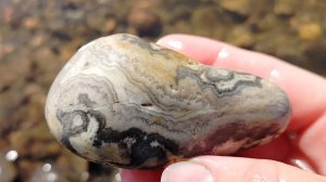 13.07.24 Поиск камней. Агат или яшма