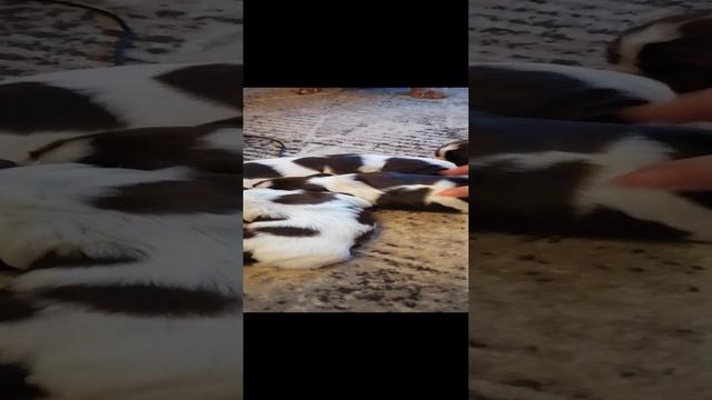 VID_20241204_091512 смотреть онлайн