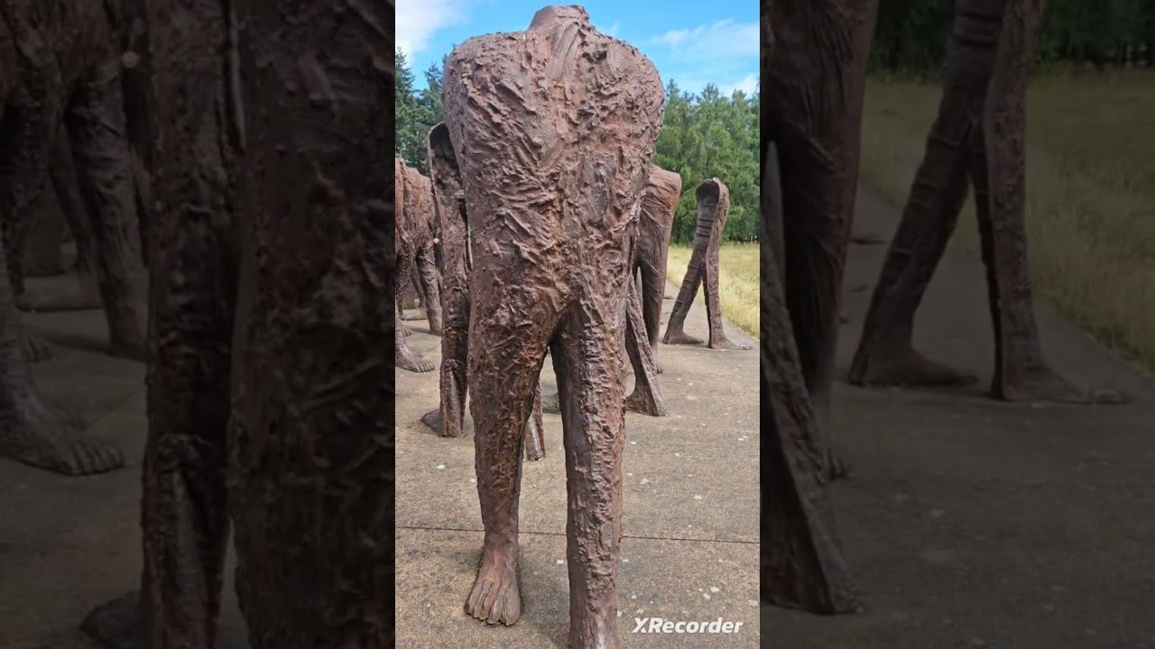 8 сентября 2024 г.