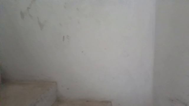 Document_5368795169669798428