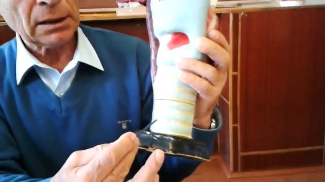 Дихальна система смотреть онлайн