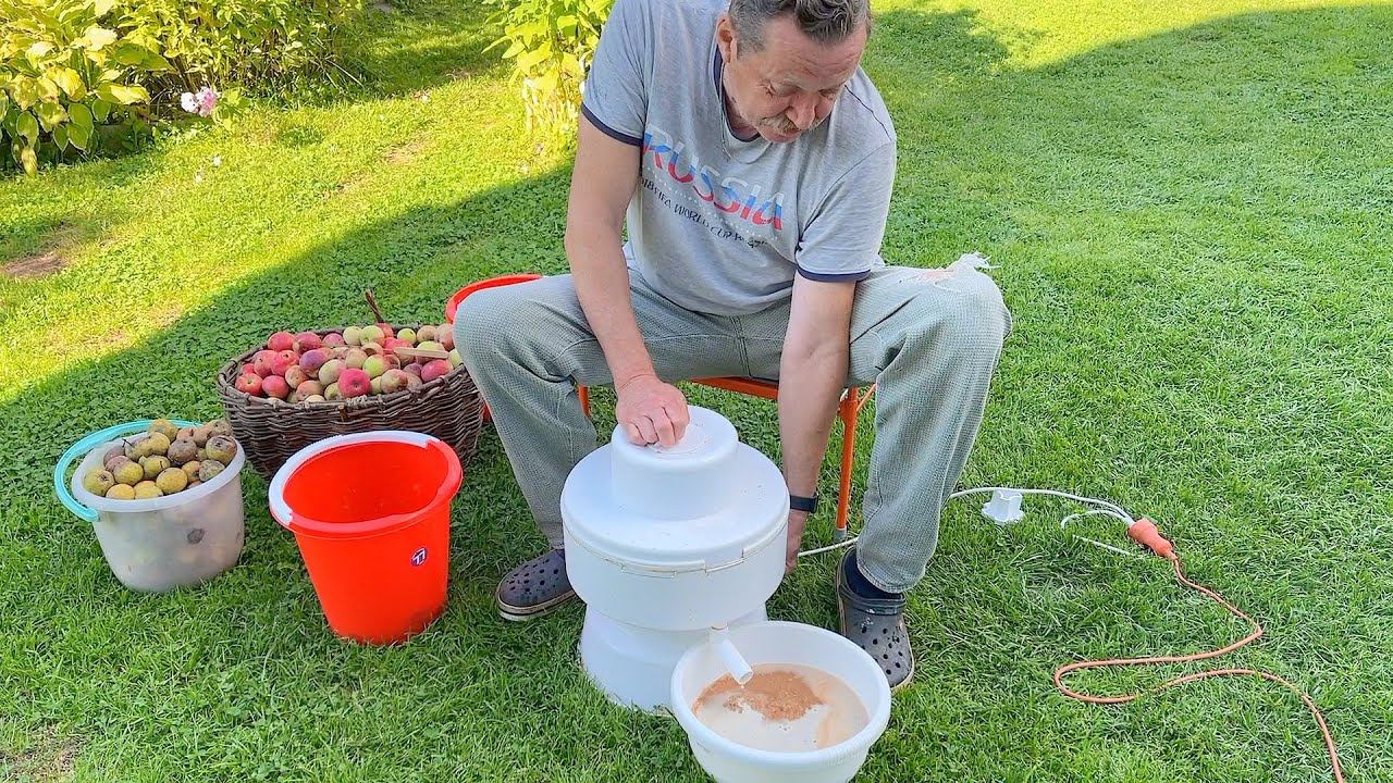 VLOG Куда деть яблоки? Ириска или Ирис? Идем за грибами с папой 22-26.08.21 смотреть онлайн